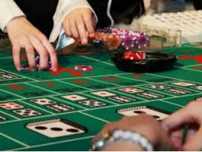 新kiyaun网页版登录2024最新版